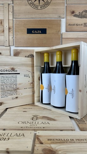 Gorgona bianco 2024 - bianco,